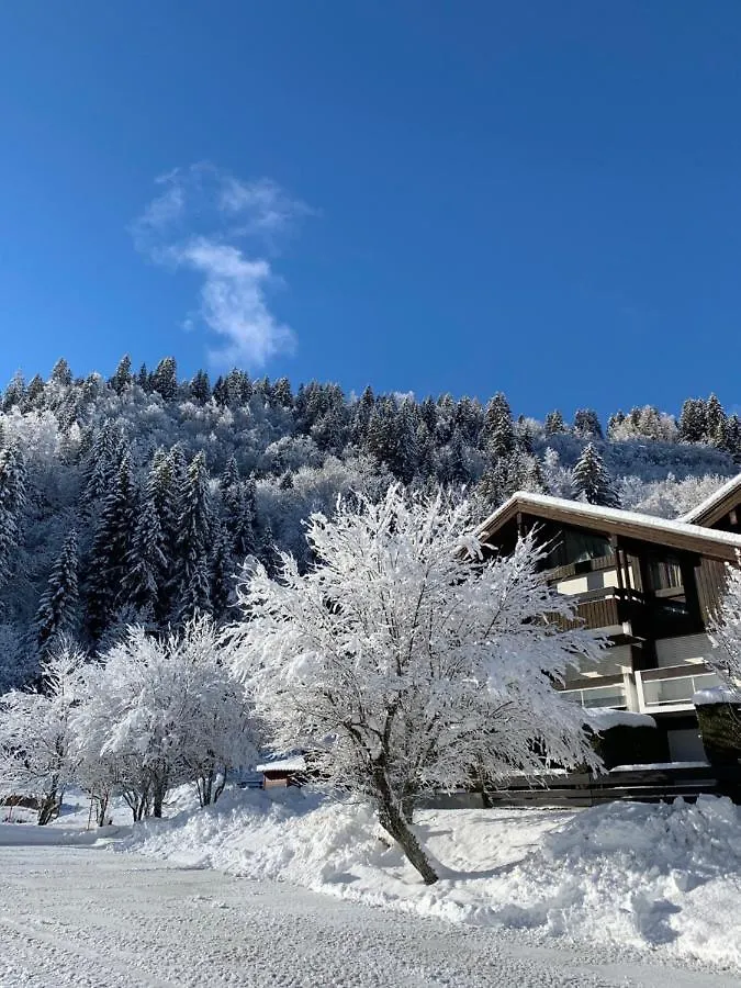 Les Combettes Apartment Les Contamines-Montjoie